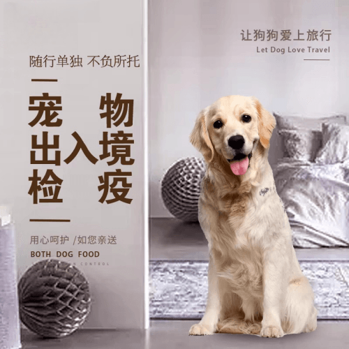福州宠物托运到哥伦比亚猫狗宠物入境规定和