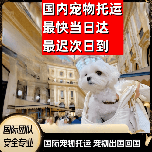 福州到澳大利亚（澳洲）宠物入境规定和要求