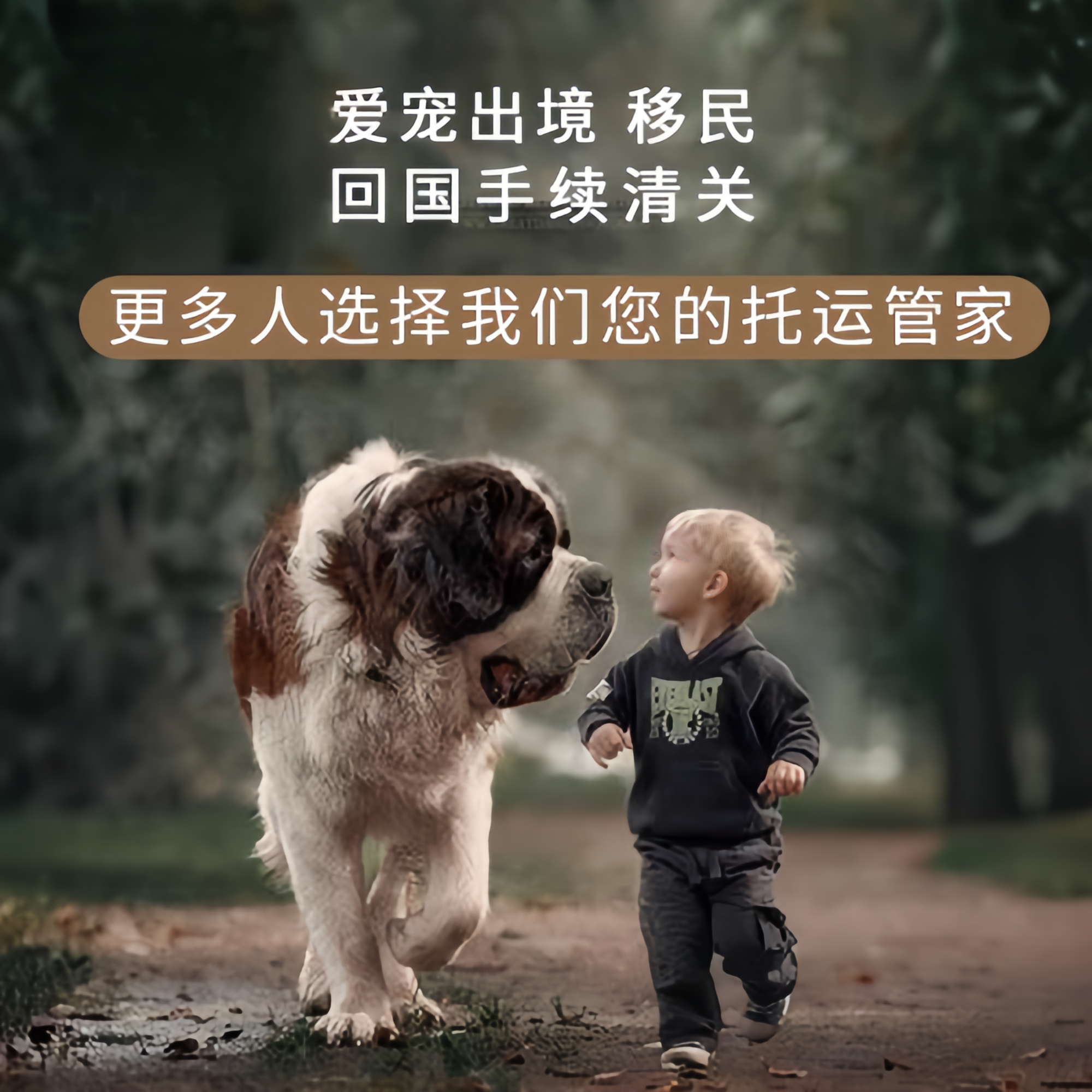满财福州宠物全球达宠物托运在遵守入境目的地政策的条件