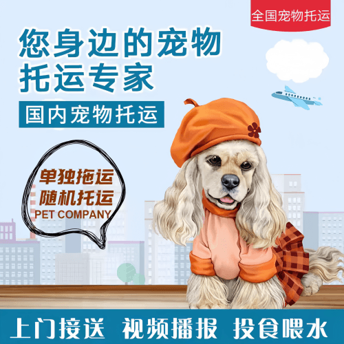 满财福州宠物全球达宠物托运作为专业的宠物运输代理机构